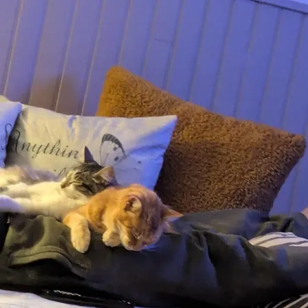 Lägenhet Casa Di Mamou