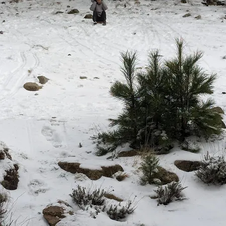 Casa Di Mamou Lägenhet Loreto-di-Tallano