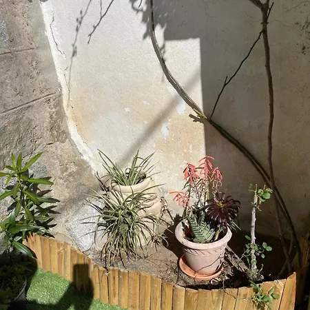 Casa Di Mamou Loreto-di-Tallano