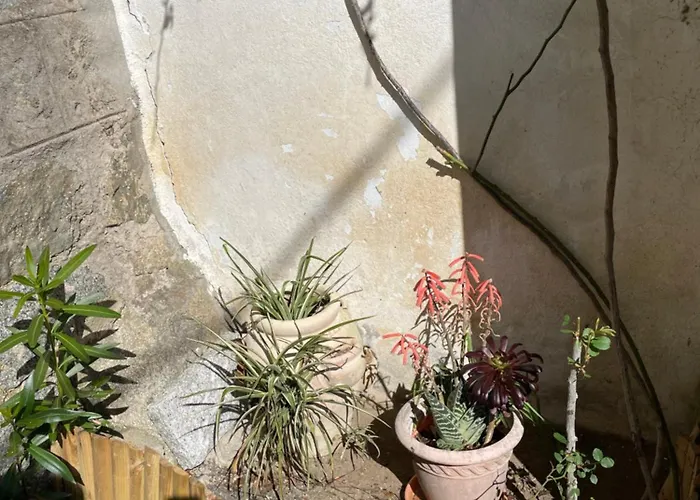 Casa Di Mamou Loreto-di-Tallano