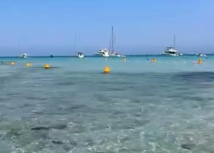 Casa Di Mamou Apartmán