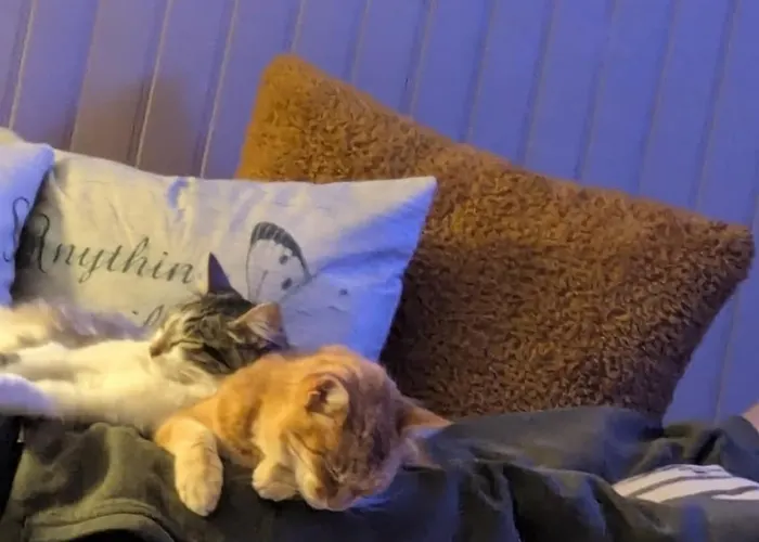 Apartmán Casa Di Mamou