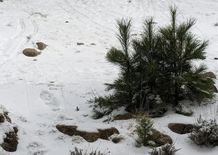 Casa Di Mamou Apartmán Loreto-di-Tallano